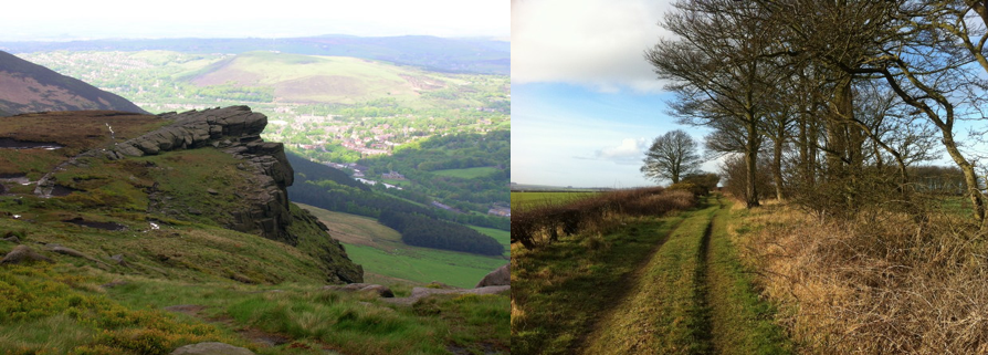 Screen Shot 2019-02-17 at 11.31.10.png